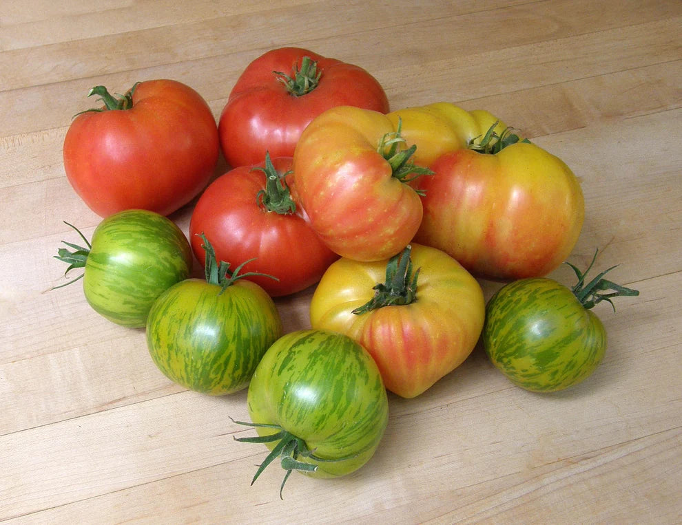 Heirloom Tomatoes Rainbow’s End Seeds